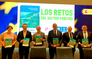 Libro retos sector porcino